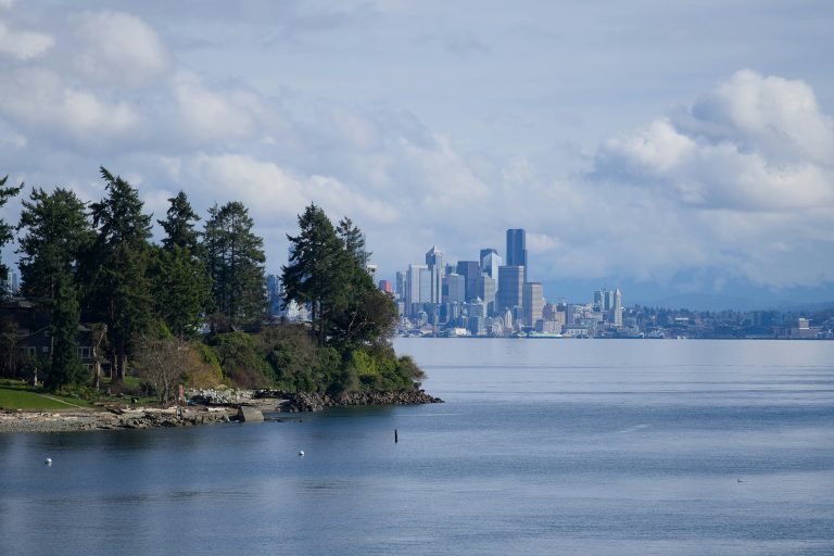 Puget Sound waterfront view from Edmonds WA — city skyline across the bay with trees