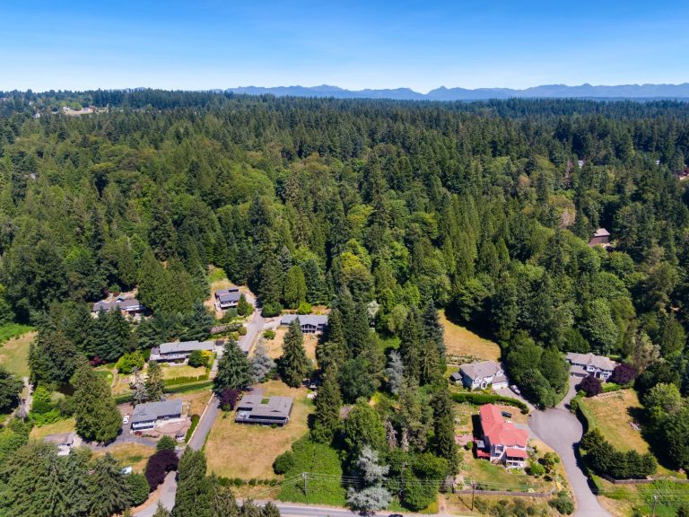 View Easements in Seattle: What Home Buyers Should Know