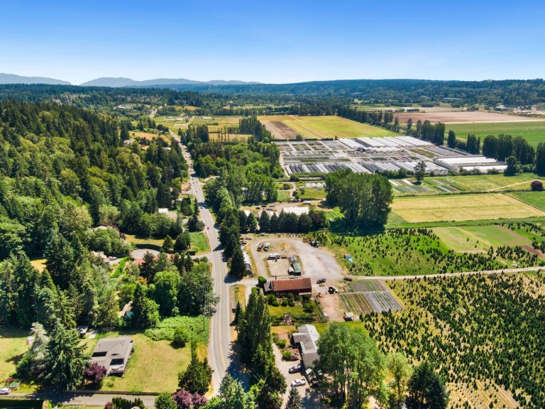 Snohomish County Sees Rising Buyer Demand, While King County Falls