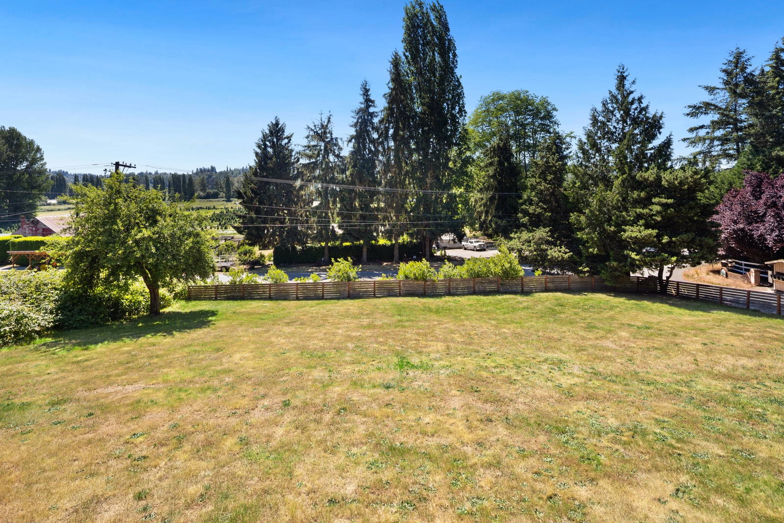 Grassy backyard landscaping typical of a Seattle-area home affected by a view easement