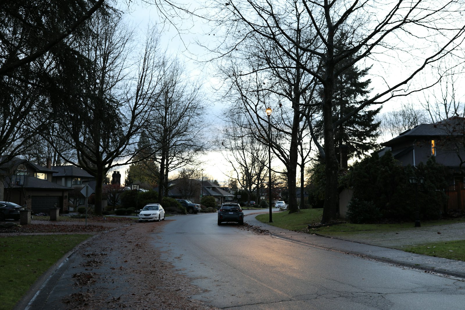 Suburban street in a Shoreline, WA neighborhood near the light rail corridor