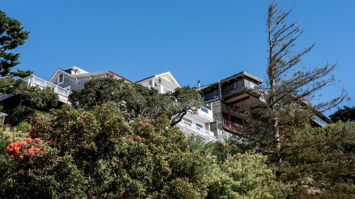 Contemporary homes among green trees under a bright blue sky