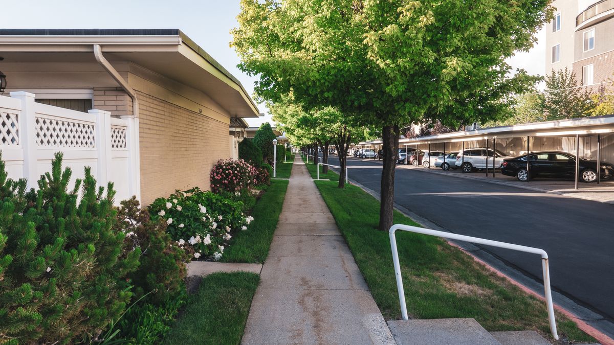 Tree-lined residential street with houses and a sidewalk